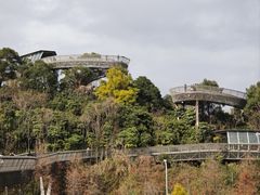-福道