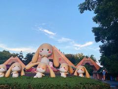 -深圳野生动物园