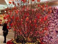 -金翠皇宫粤菜·点心·海鲜(翡翠店)