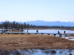 -野鸭湖国家湿地公园