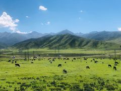 -祁连山草原