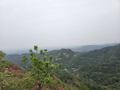 -木兰云雾山