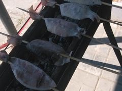 -北京上庄水库尚野露天户外自助烧烤