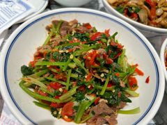 香菜炒牛肉-壹盏灯(蚂蚁工房店)