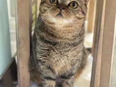 -纳吉亚猫专科动物医院博雅分院