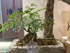 -成川茶店·潮汕工夫浓茶(万象店)