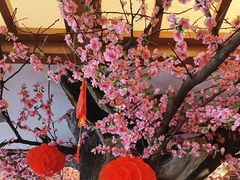 -鸥迪足道(安庆店)