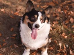 -济南国际园博园