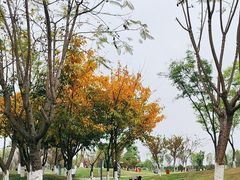 -府河摄影公园