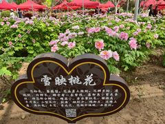 -洛阳市隋唐城遗址植物园