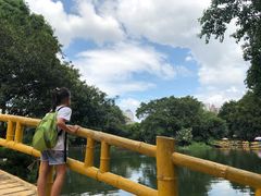 -晓港公园