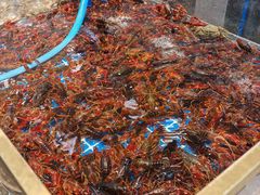 -半岛听涛蒸汽海鲜自助(K11店)
