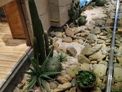 -小城粥道·海胆鲜虾粥(解放广场店)