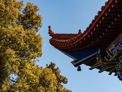 -开福禅寺