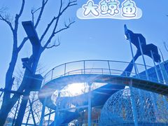 -后襄河公园
