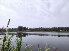 -东郊湿地公园