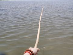 -梁鸿国家湿地公园