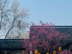 -丝绸小镇荻港古村