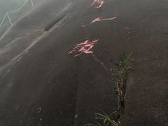 -玉苍山国家森林公园