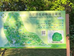 -合肥野生动物园