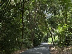 -广西壮族自治区药用植物园