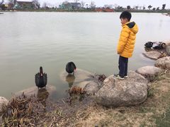 -荷兰花海