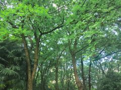 -苏州河梦清园环保主题公园