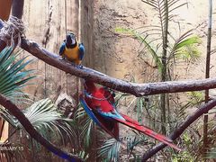 -杭州开元森泊度假乐园