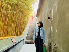 -潭柘寺景区