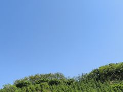 -《神游传奇》秀