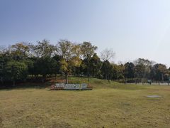 -洋湖国家湿地公园