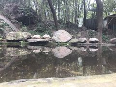 -少华山国家森林公园