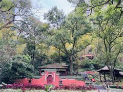 -融水老君洞景区