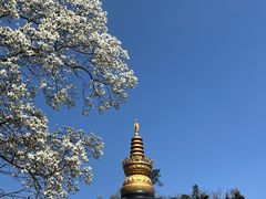 -径山寺
