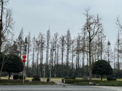 -青城山
