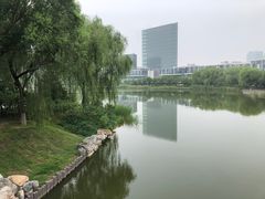 -大兴滨河森林公园