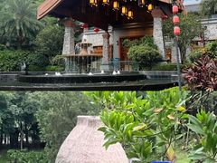 -美的鹭湖森林度假区