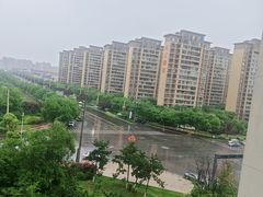 -状元楼(金溪路店)