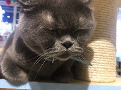 -小时光咖啡馆(开森度假森林店)