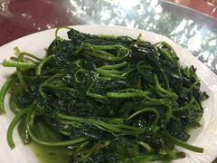 -迈臣农家乐