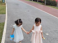 -万绿园