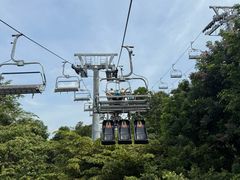 -圣淘沙天际线斜坡滑车