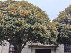 -乌石村