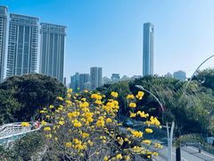 -狐尾山公园