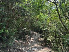 -狮子山郊野公园