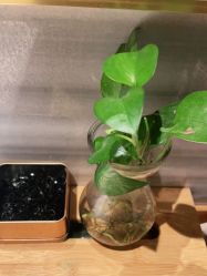 -香秀空间科技抗衰·美容中心