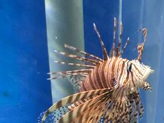 -福州罗源湾海洋世界旅游区