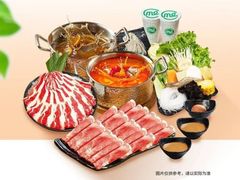 -呷哺呷哺 黄金牧场 (枣强吉美购物广场店)