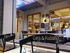 -Cats&Rabbits猫兔酒吧
