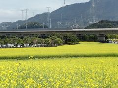 -光明小镇欢乐田园